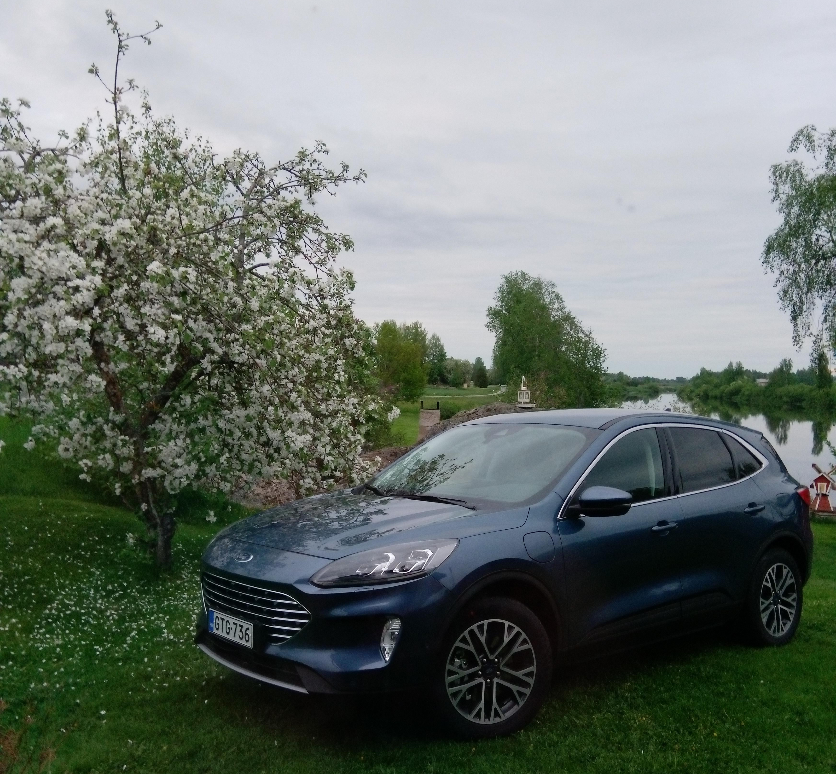 Ford Kuga PHEV Titanium Sommerbild